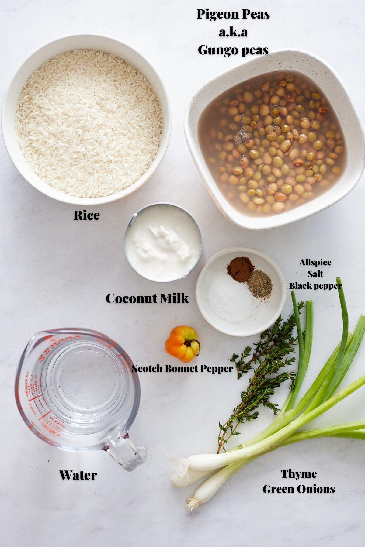 ingredients for gungo peas and rice on white background