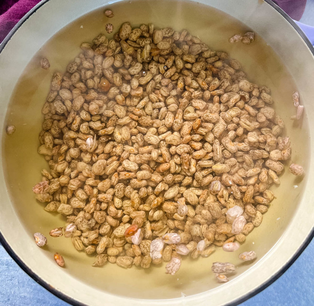 pinto beans with water in a pot