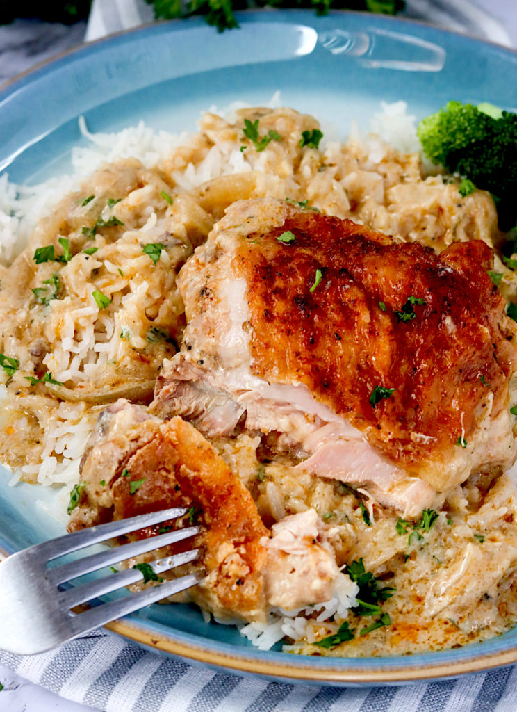A delicious plateful of smothered chicken over rice