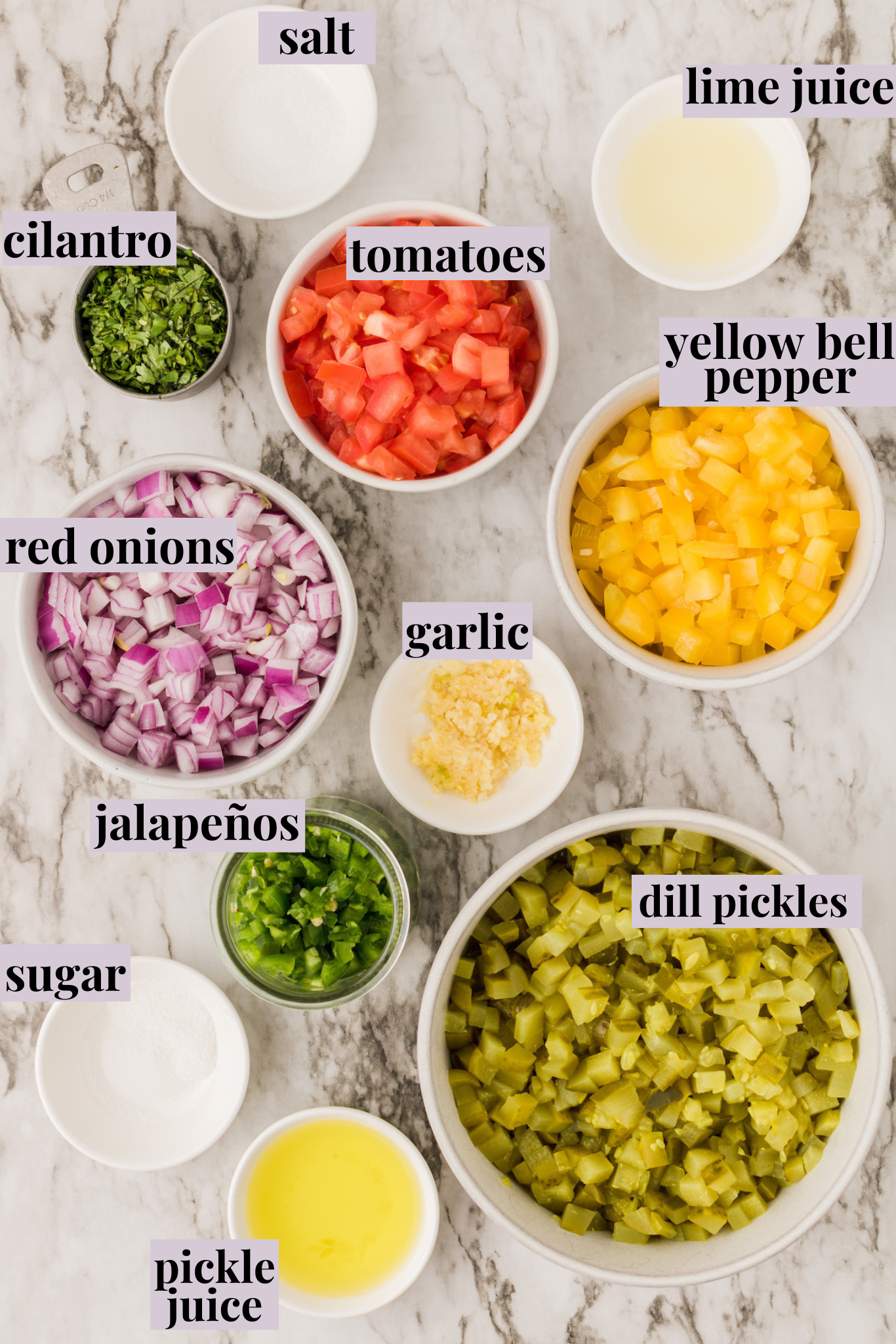 Overhead view of ingredients for pickle de gallo with labels