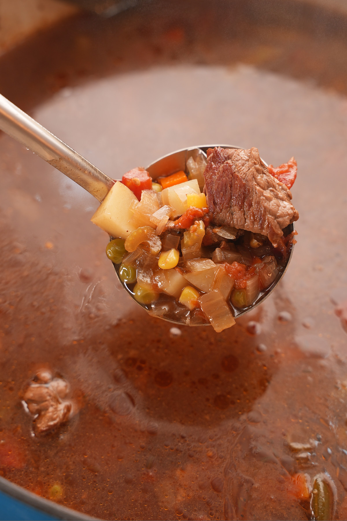 vegetables and beef on spoon